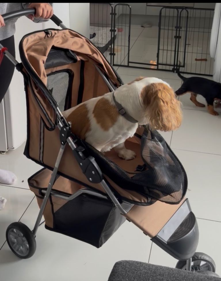 Dog Pram stroller