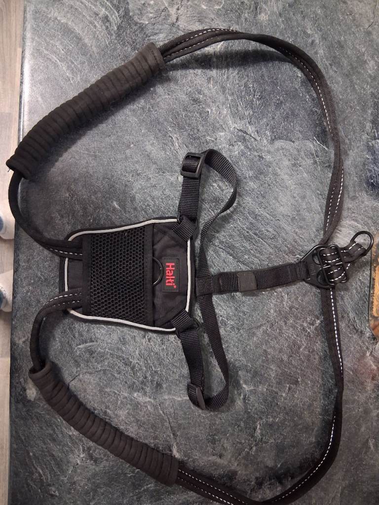 Non pull dog harness 