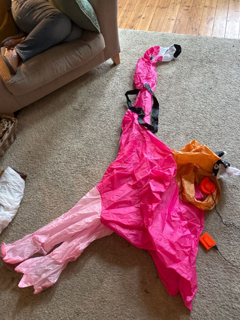 Flamingo costume blow up - man riding flamingo