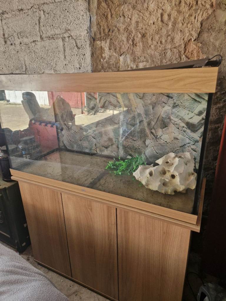 Juwel rio  fish tank