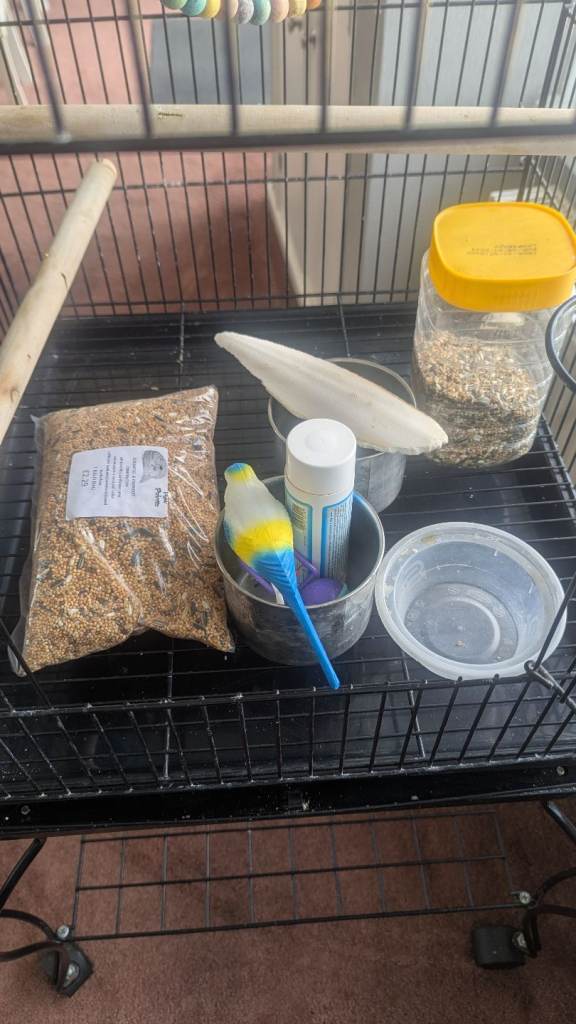 Bird Cage and accessories