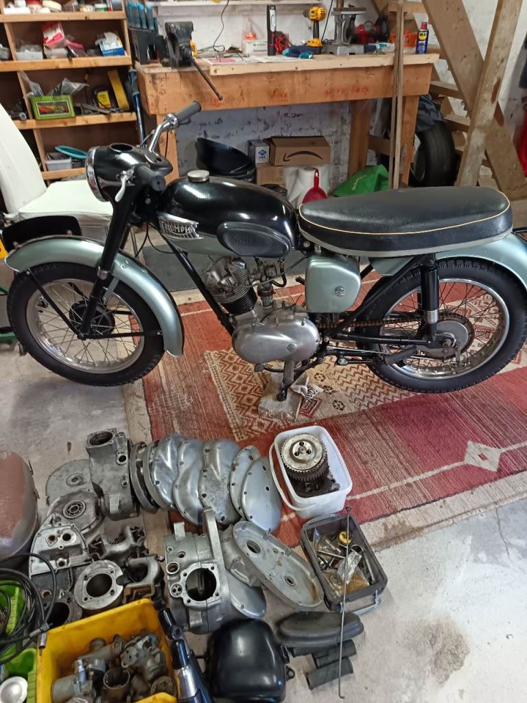 1962 triumph tiger cub 