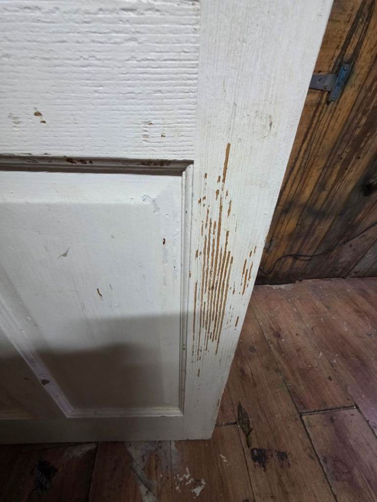 Glazed internal door 