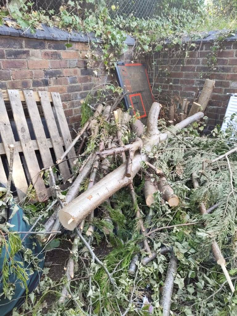 Mainly Hazel Tree Logs – Perfect for Firewood/Compost