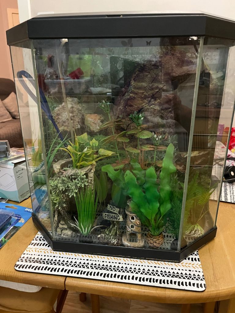 25 litre Aquarium