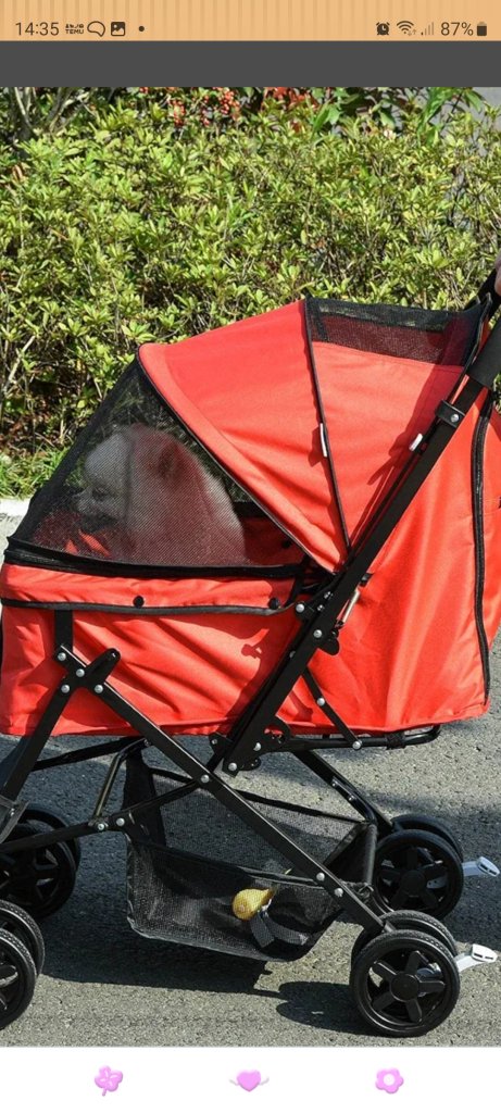 Dog pram