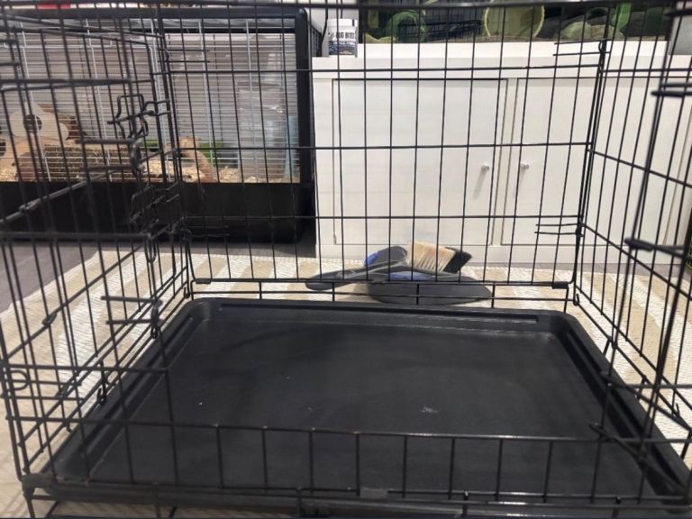Small dog crate 