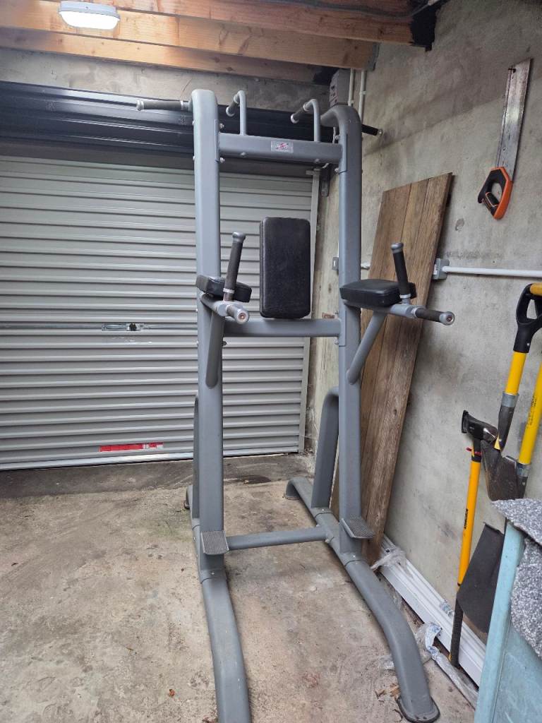 Pull Up / Dip Station