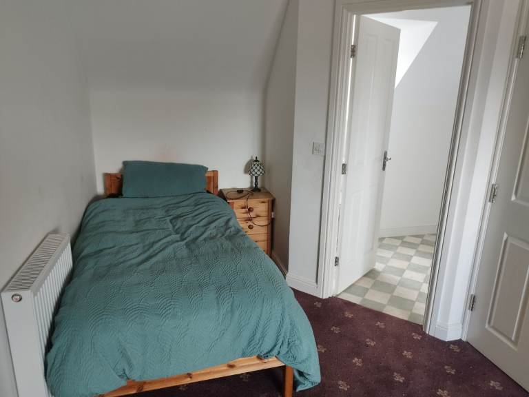 Large en-suite room to rent 