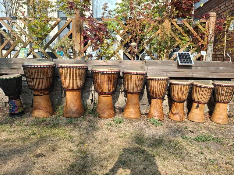 Selection of Djembe Drums – Various Sizes, Hand Carved