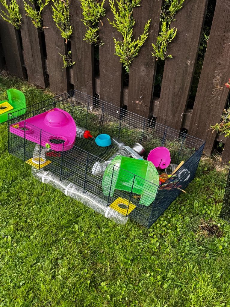 Free Hamster Cages & Accessories – Free to Collect