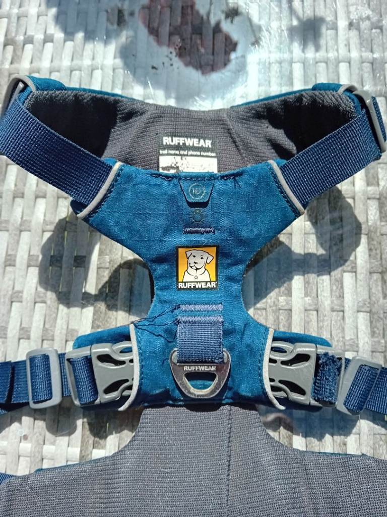 Dog harness