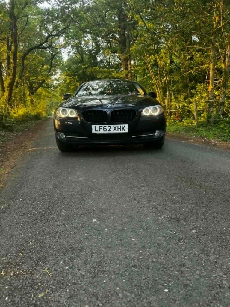 BMW 520d SE 2012