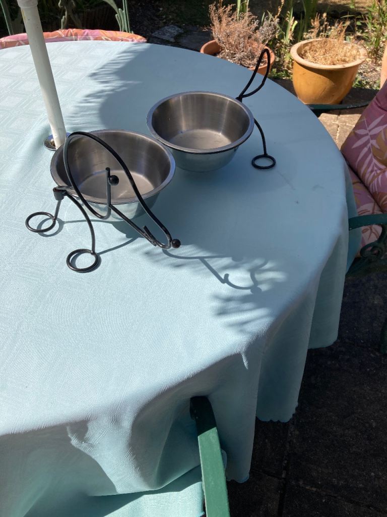 Dog’s eating bowls