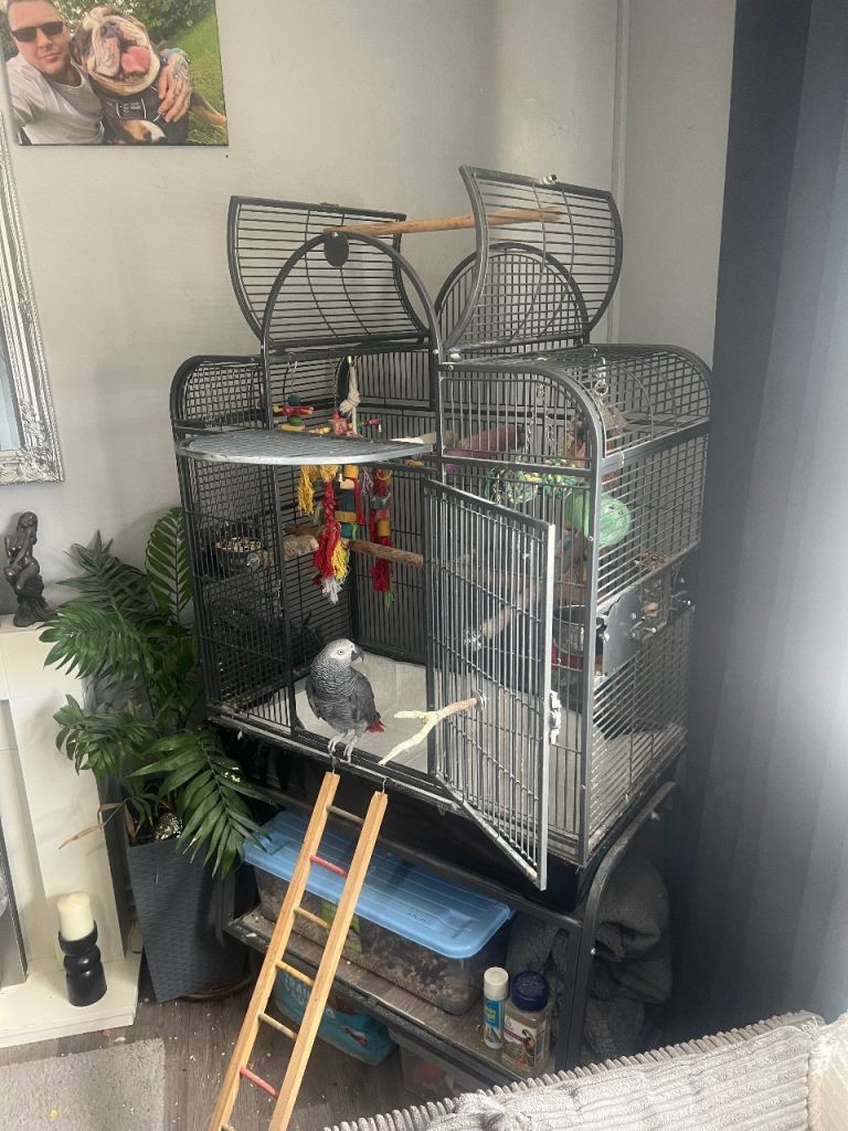 parrot cage 