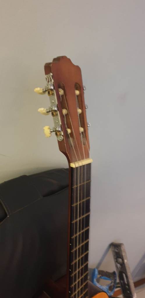 Hohner Guitar