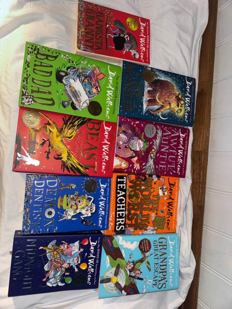 David Walliams Books Bundle 