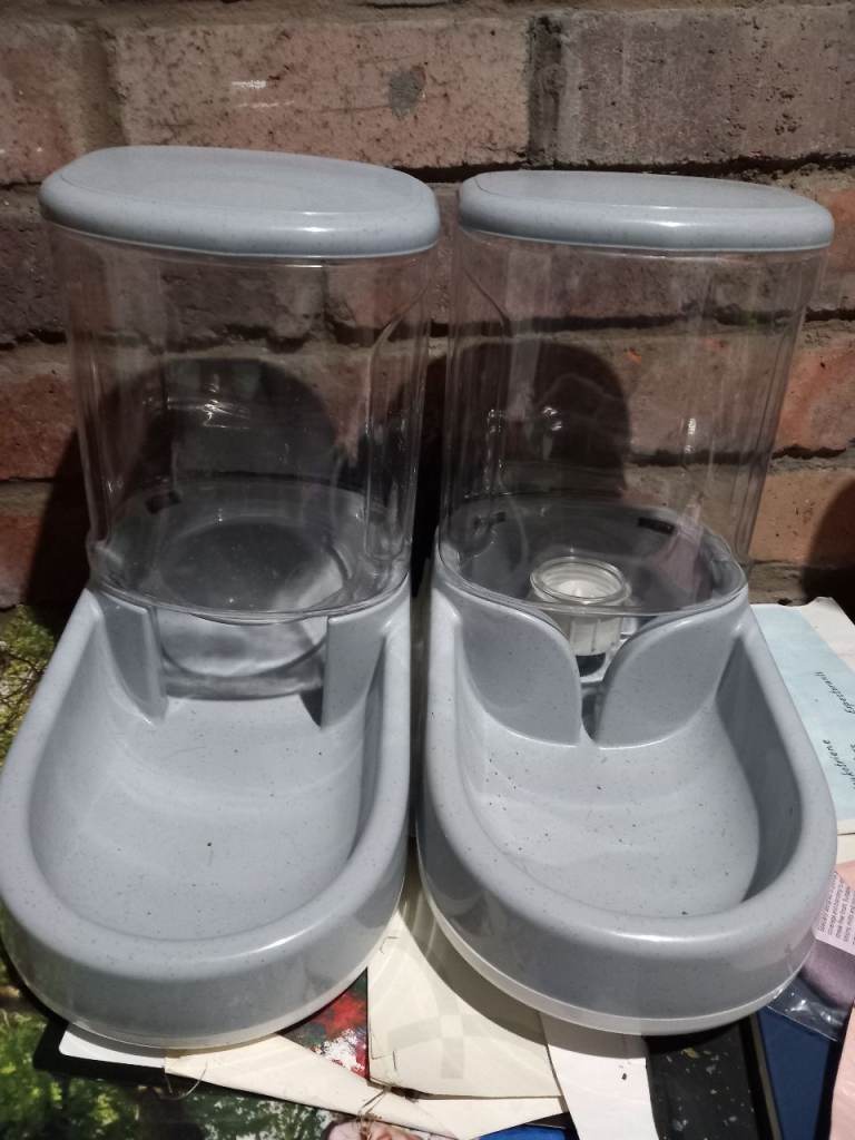 Cat bowls