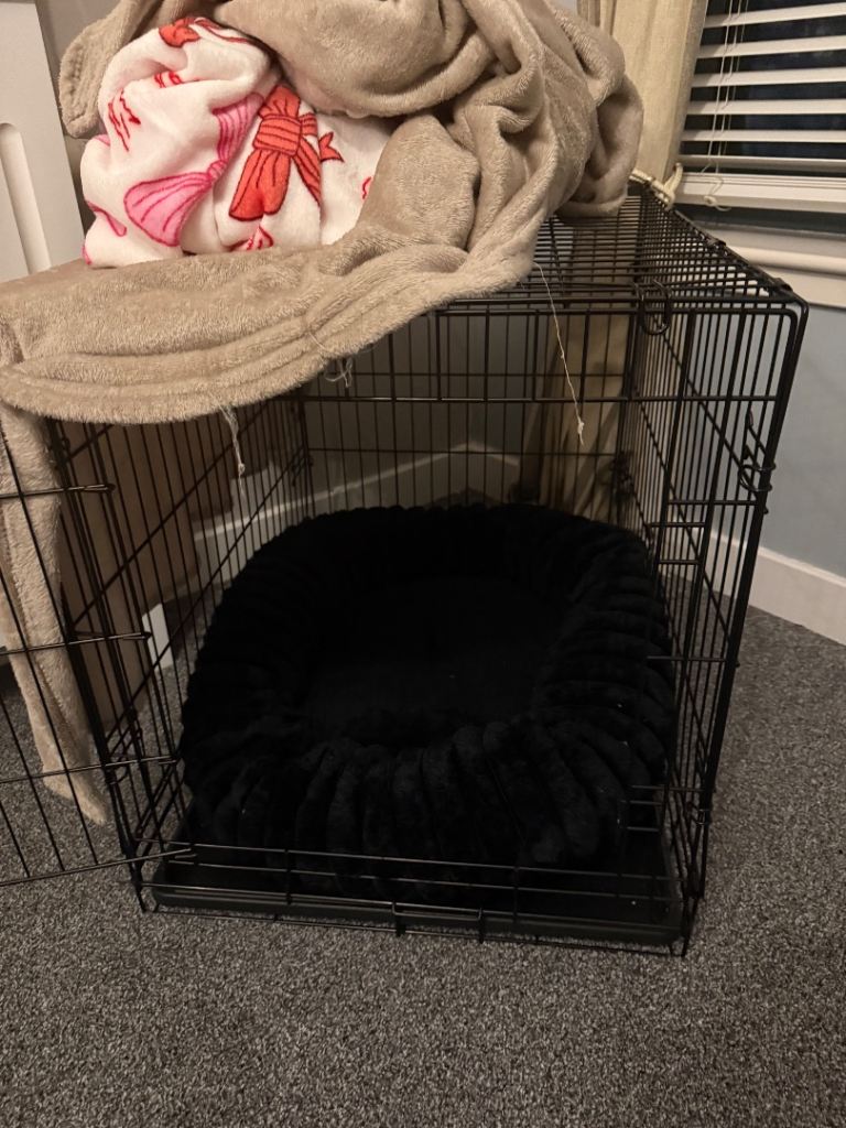 Large Dog crate