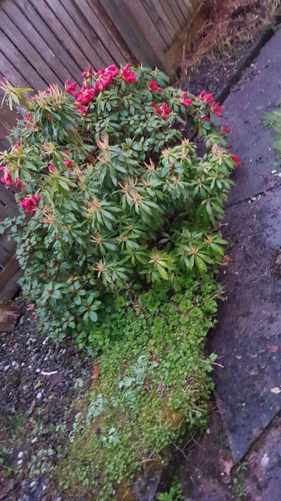 wanted small piece of rural land to buy