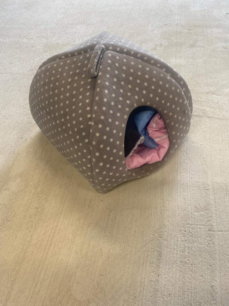 Cat/kitten enclosed Bed