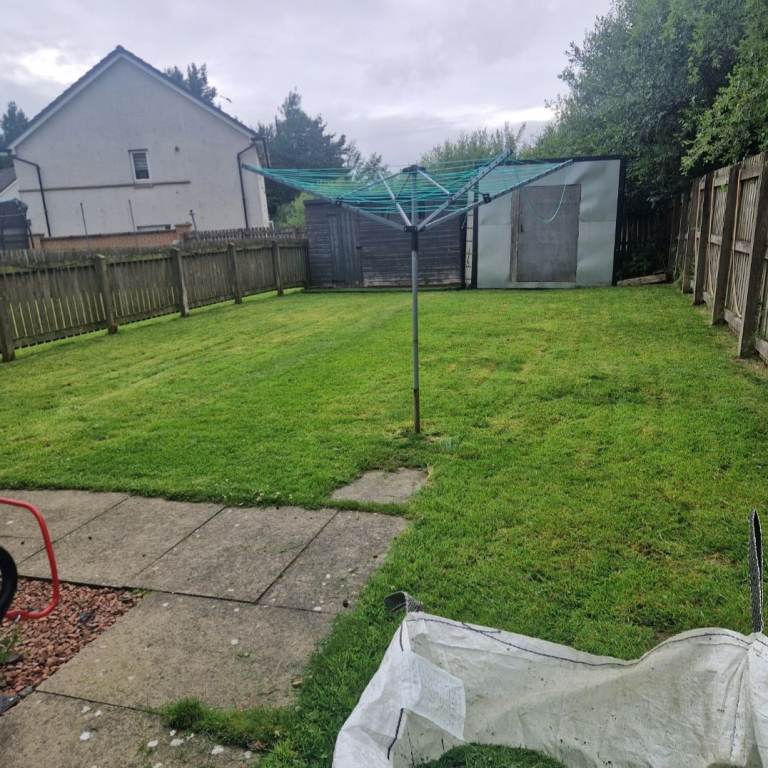garden grass 