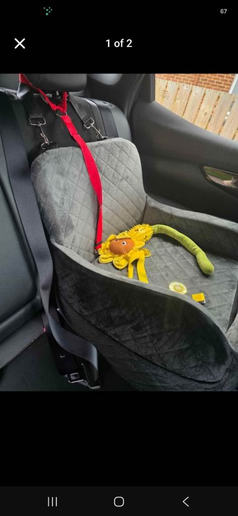 Doggie carseat