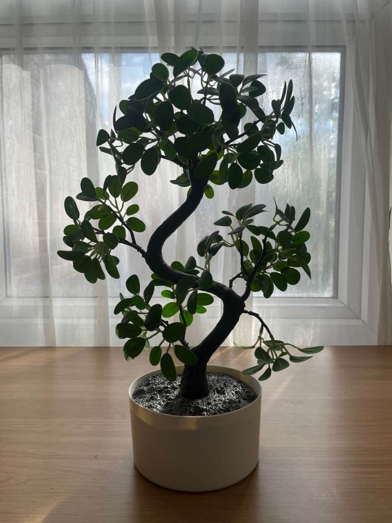 Artificial Bonsai Plant in Pot – £25 (Half Price Sale!) (open to negotiation)