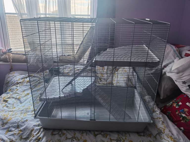 rat / chinchilla cage
