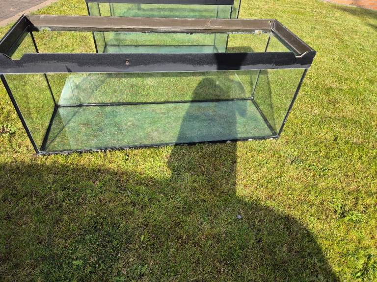 5ft aquarium 