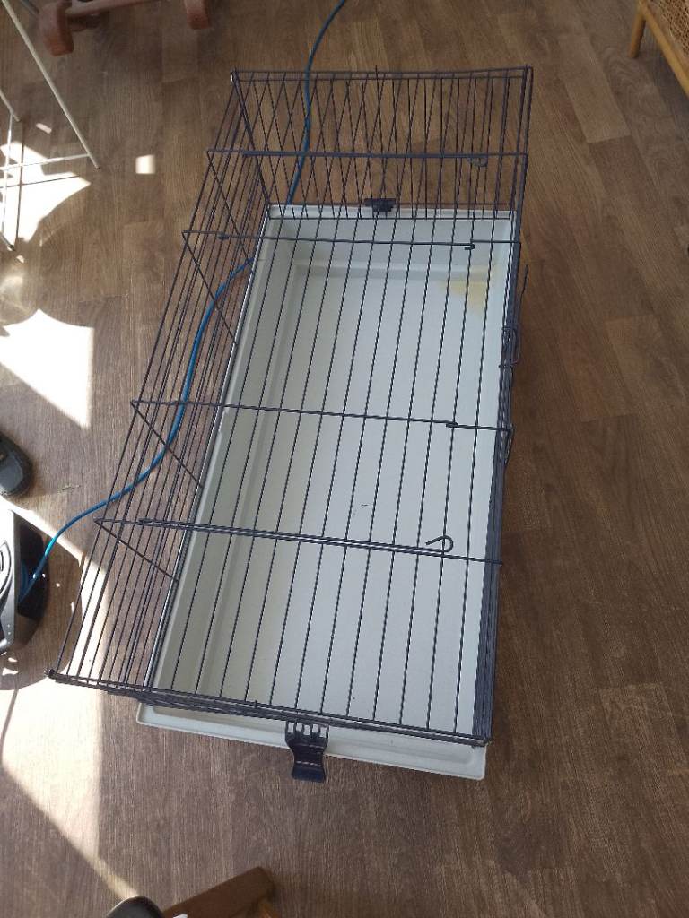 Guinea pig cage