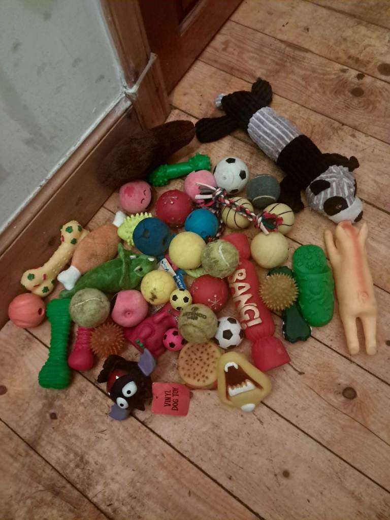 Bag of assorted dog toys
