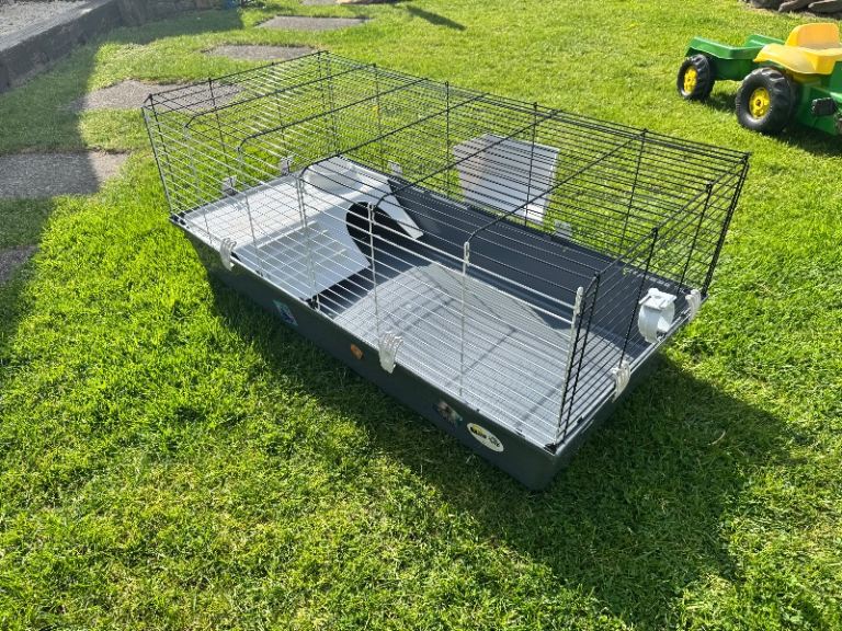 Rabbit run
