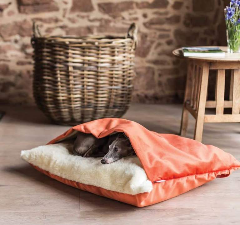 Charley Chau Snuggle dog bed 