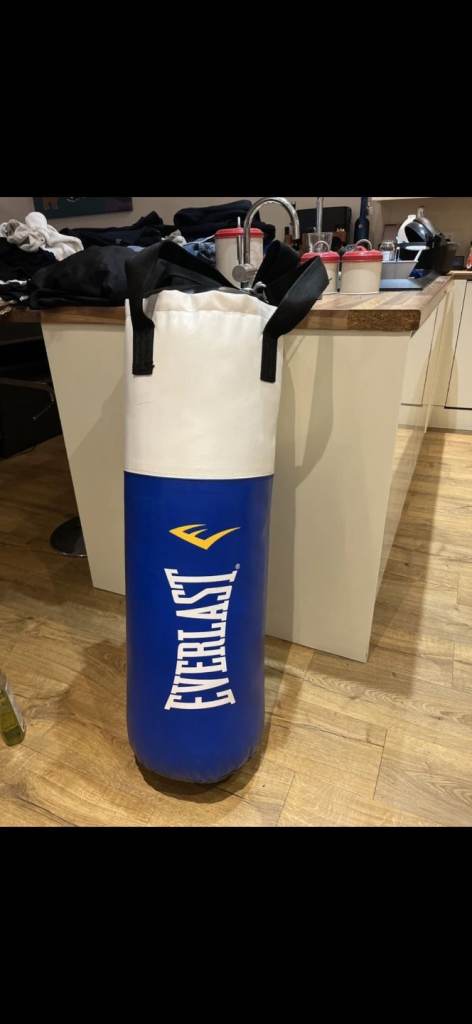 Everlast PRO punch bg heavy duty wall amount + gloves
