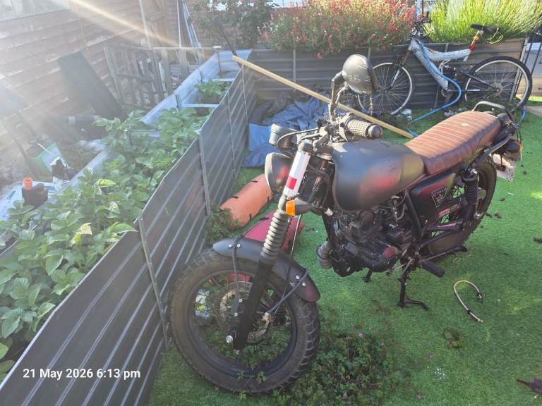 WK Bikes, SCRAMBLER, 2021, 49 (cc)