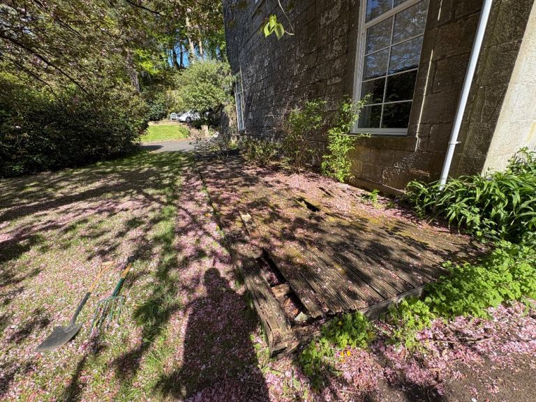 Grass Cuts and more
