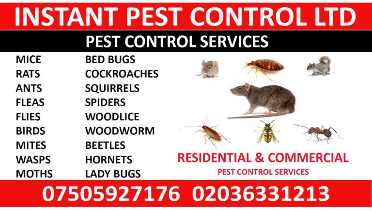 100% Guaranteed Pest Control Edmonton Islington Archway Bedbug Rat Mice Ant Cockroach Flea Mouse