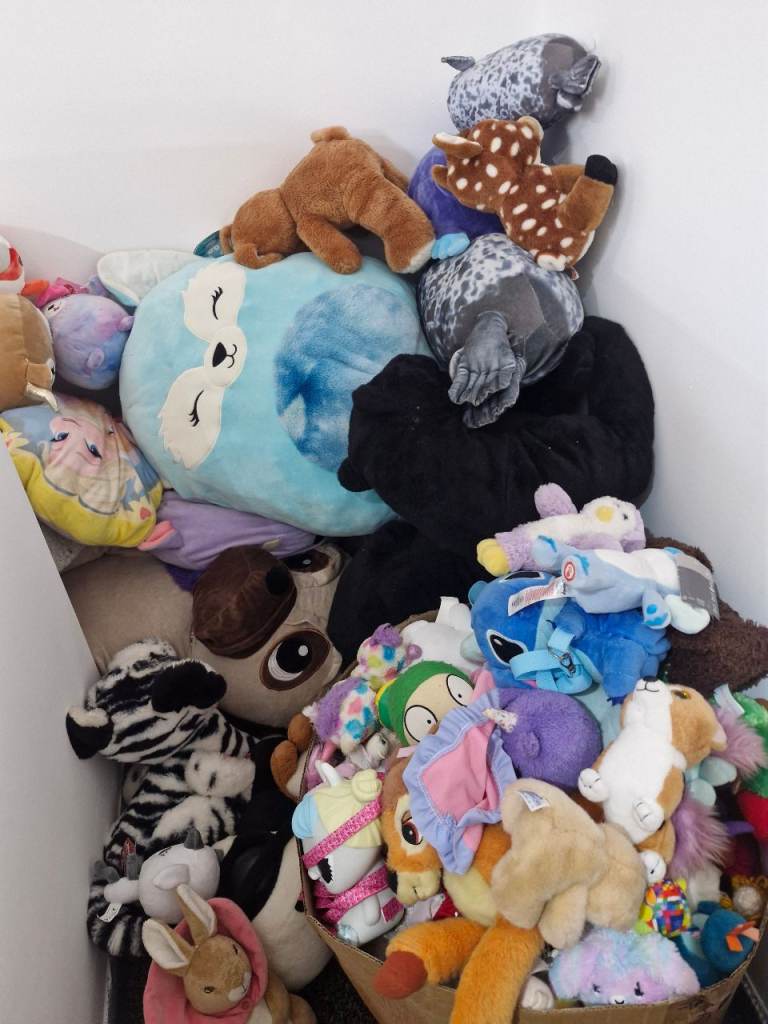 Large Bundle of Mixed Soft Toys and Plushies – Good Condition