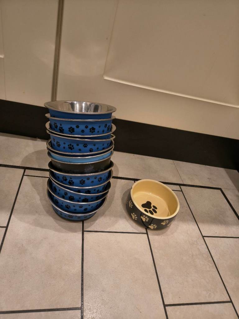 13 bowls for cats and small pets