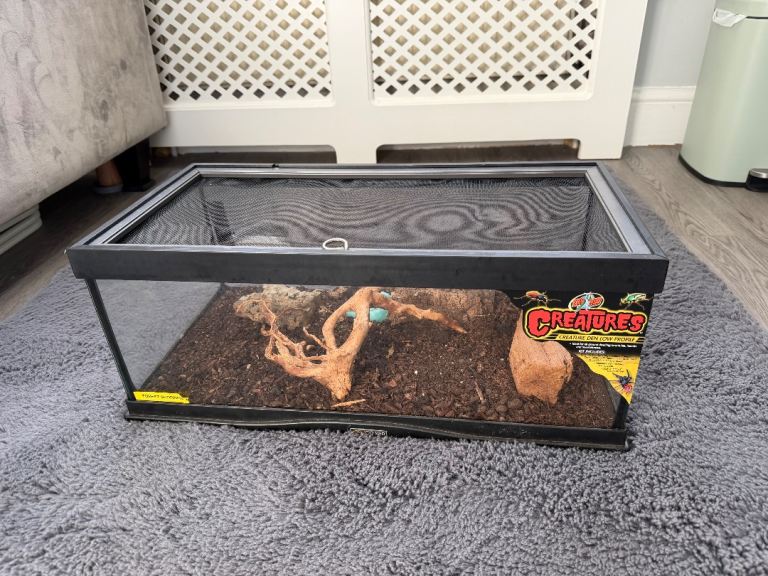 Creatures Vivarium Brand:  Zoo Med Creatures Creature Den Low Profile Starter Kit - 6 gal, Assorted