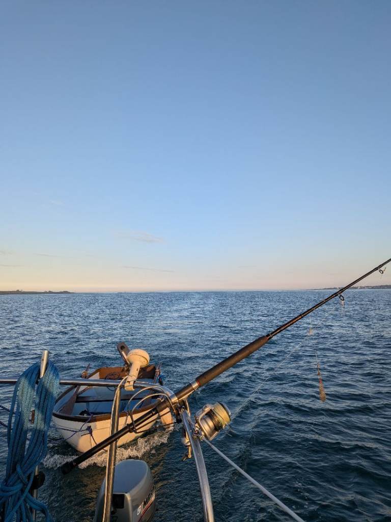 Sail boat wanted