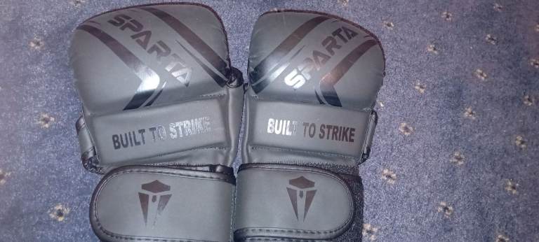 Boxing training gloves 