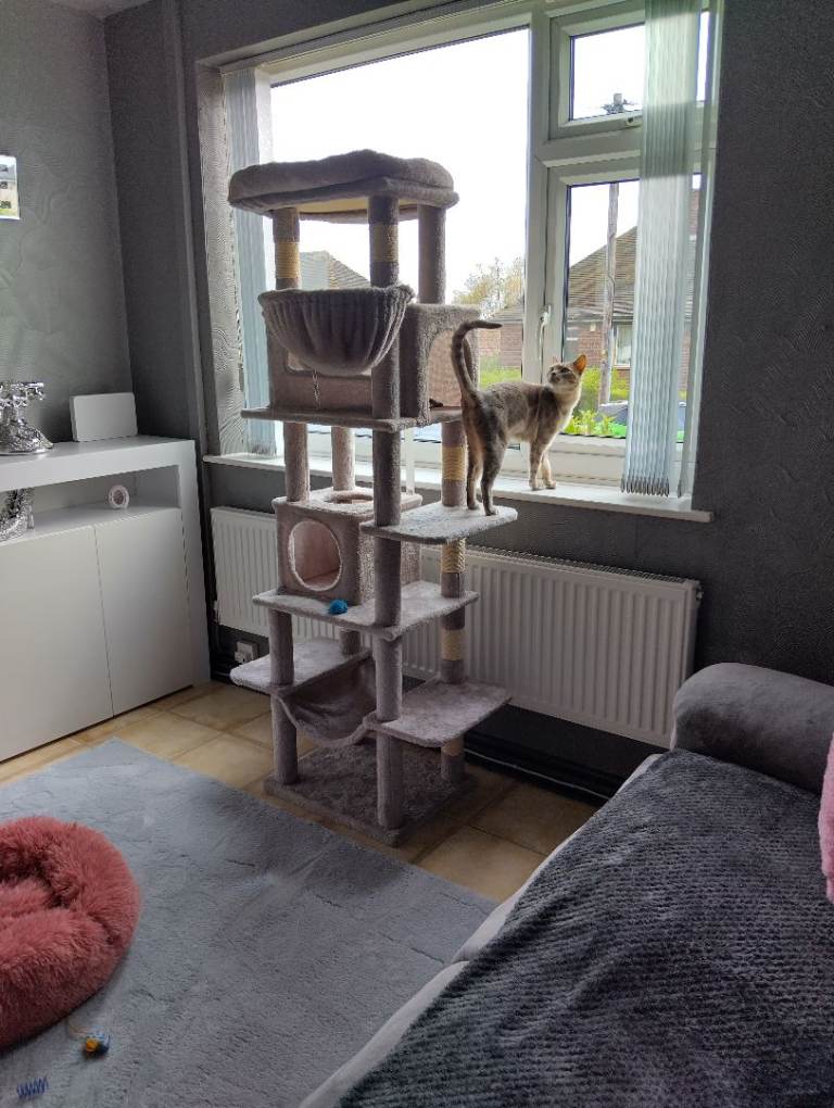 Tall cat tree 180 cm