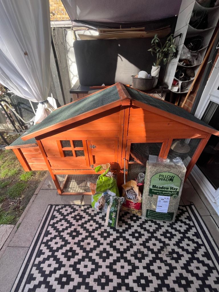 RABBITS AND RABBIT HUTCH 