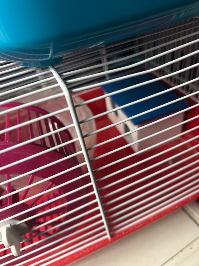 Small hamster cage