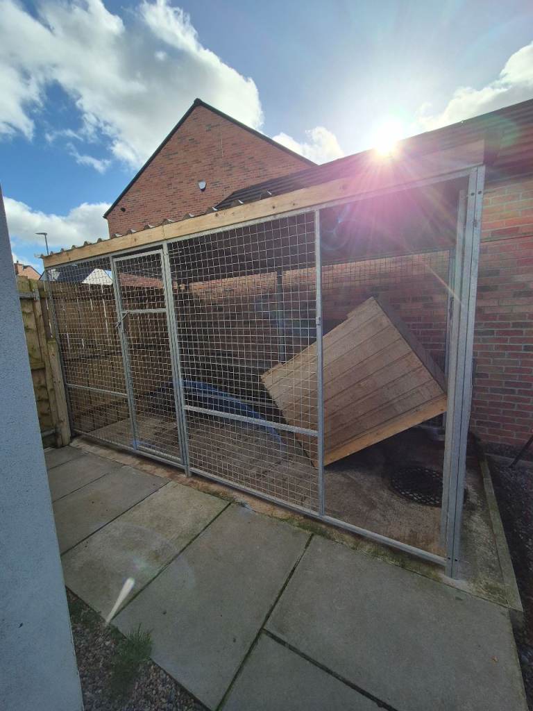 Galvanised Dog Run w/ Roof