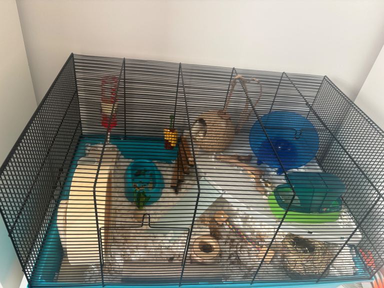 Hamster cage with accessories 