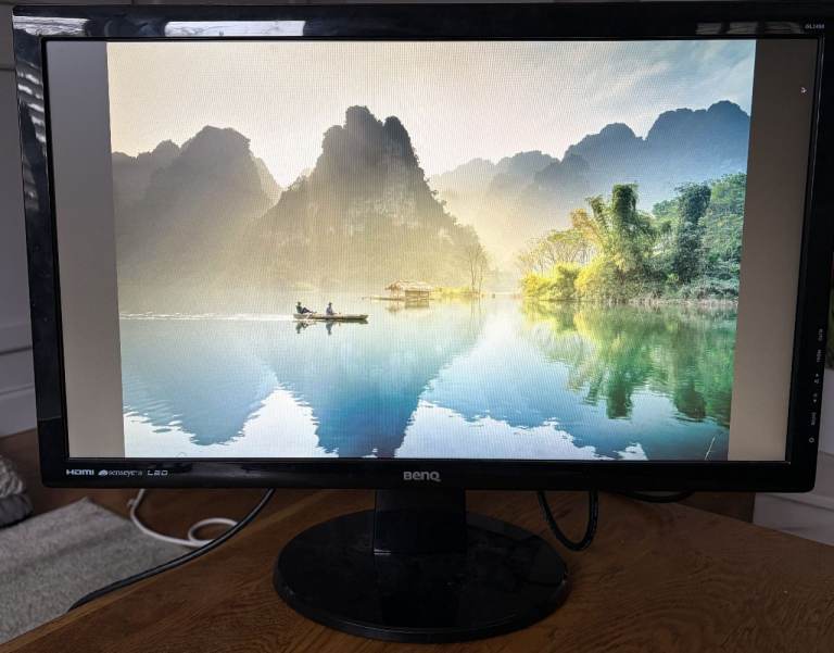 BenQ GL2450HM LED TN 24 inch Widescreen Multimedia Monitor Full HD 1080