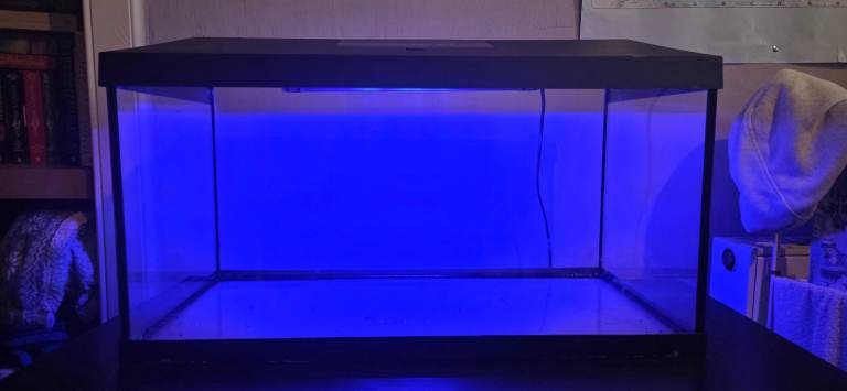 Fish tank job lot all you need to start an aquarium